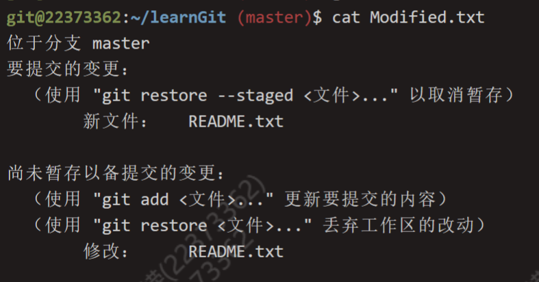 image-20240313232939134