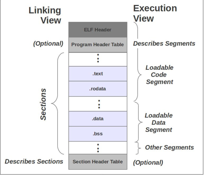 image-20240320234355920