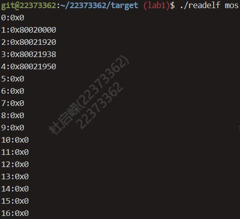 image-20240325210255324