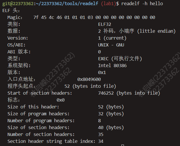 image-20240325210724269