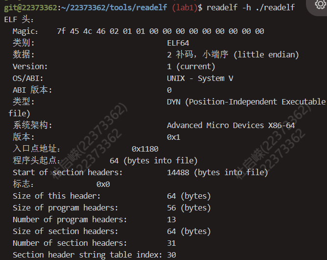 image-20240325210939868