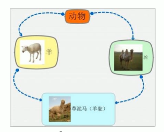 image-20240716154955940